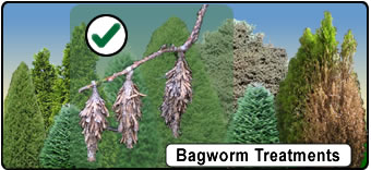 Bagworm Spray